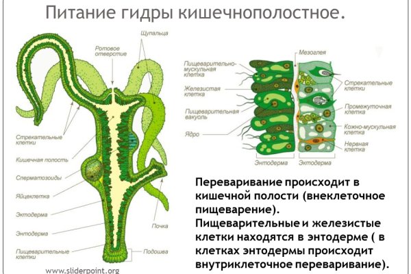 Правильная ссылка на кракен